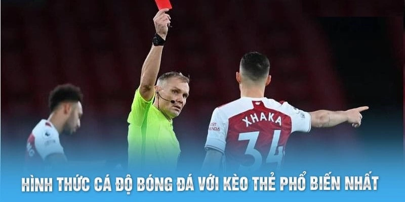 Cách phân loại đa dạng cho thành viên nhiều lựa chọn