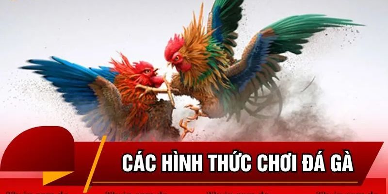 Các loại hình CQ9 đá gà được yêu thích nhất hiện nay